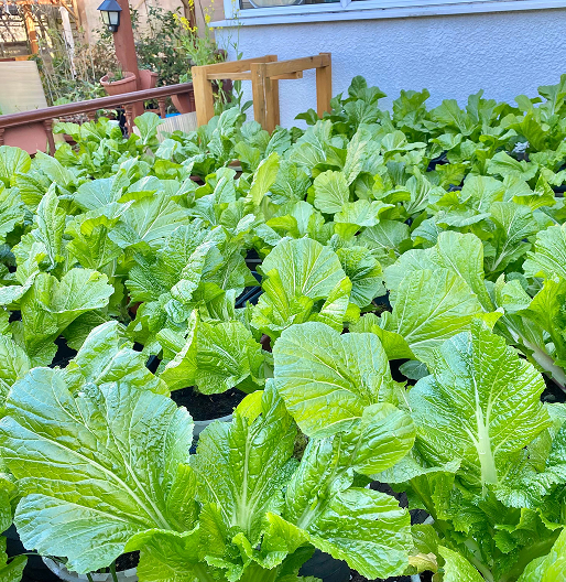 ĐỂ LẠI THÔNG TIN TƯ VẤN