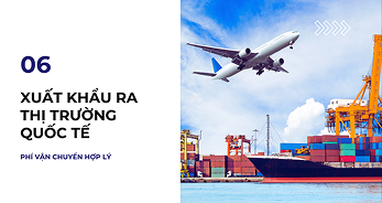 Xuất khẩu ra thị trường quốc tế