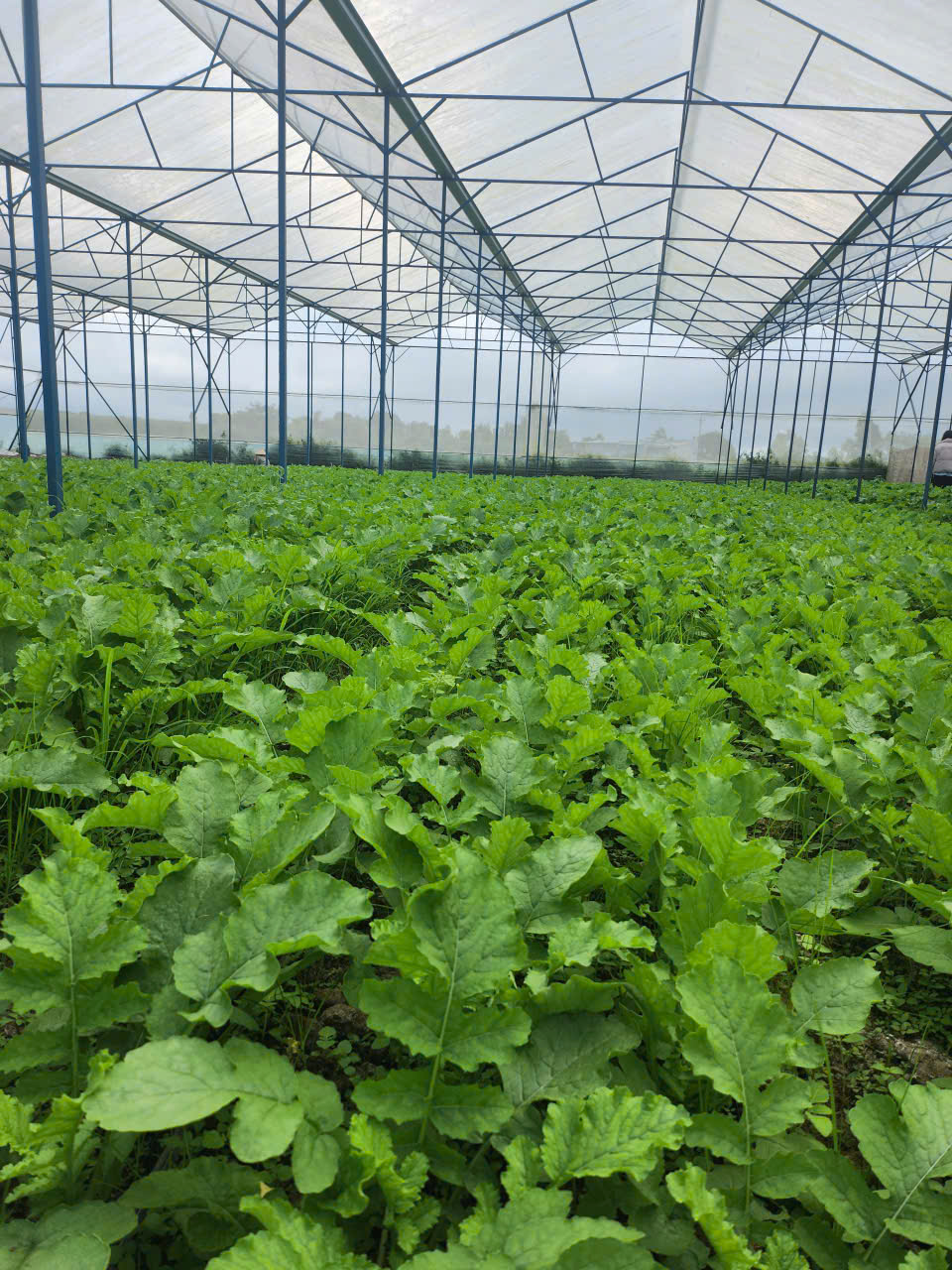 Tầm nhìn - Sứ Mệnh