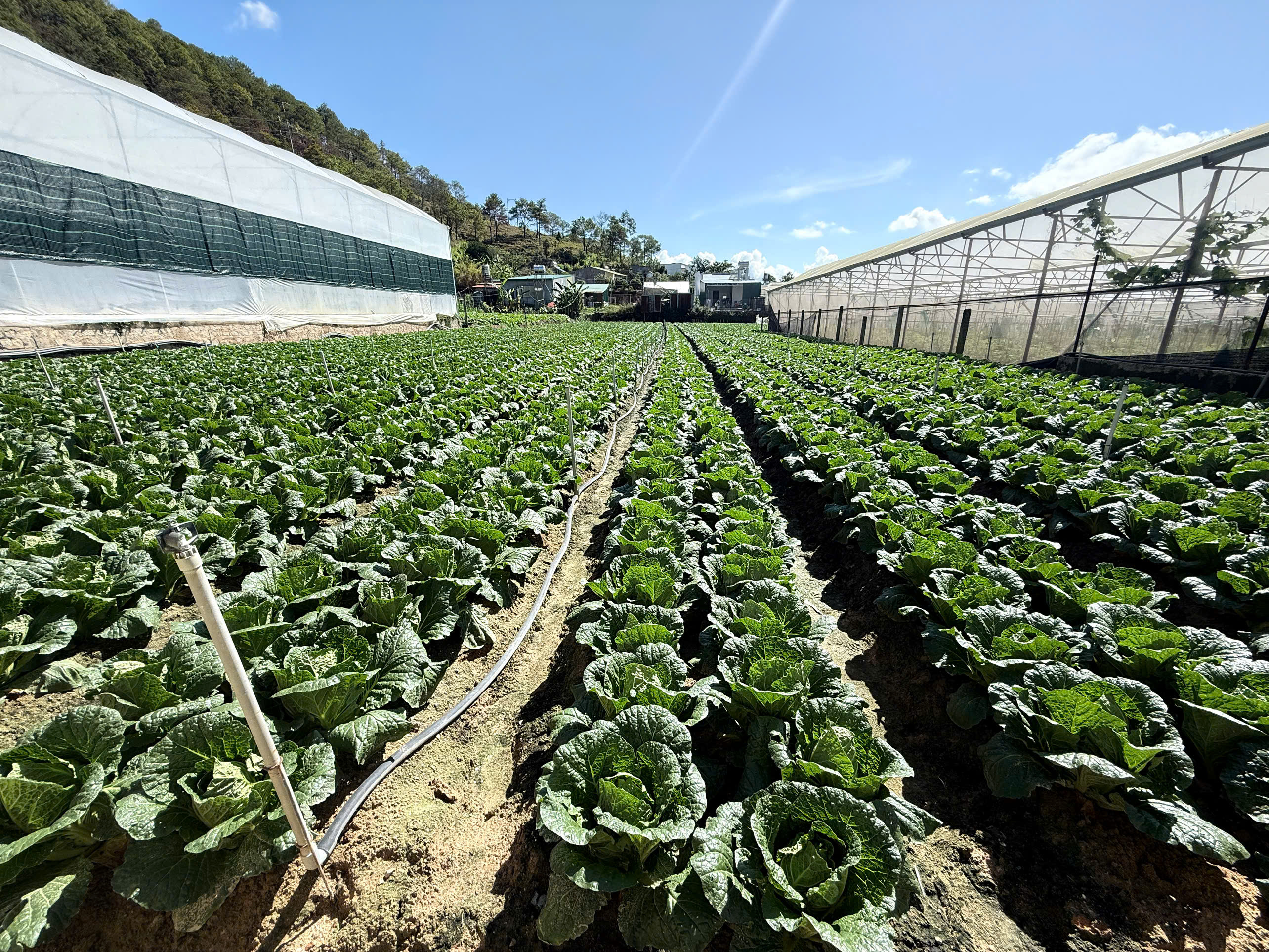 Giá trị cốt lõi